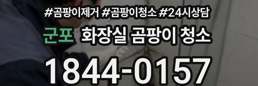 군포 화장실 곰팡이 청소