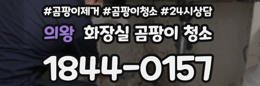의왕 화장실 곰팡이 청소