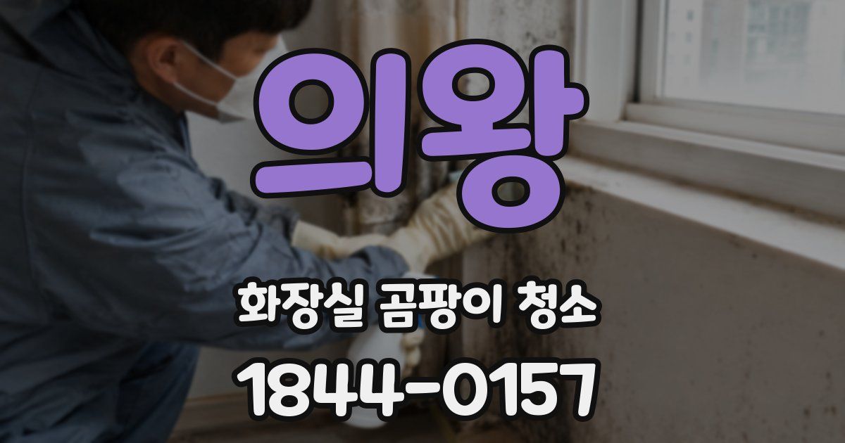 의왕 화장실 곰팡이 청소