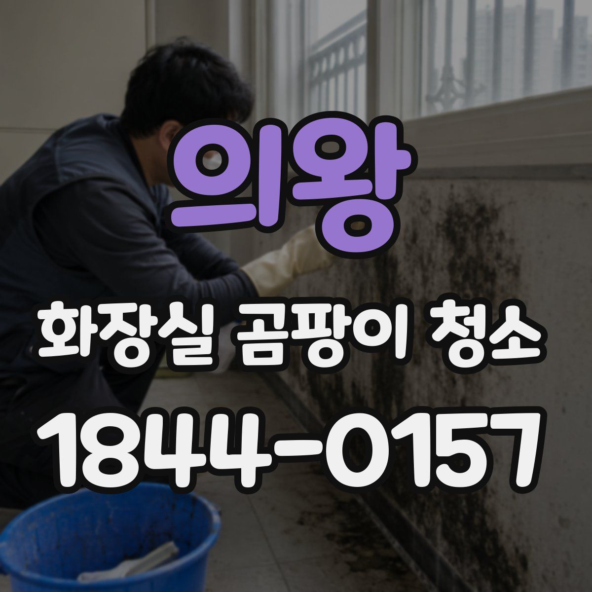의왕 화장실 곰팡이 청소
