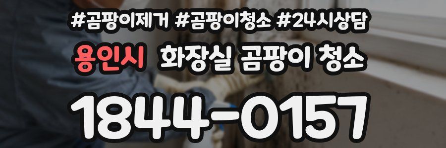 용인시 화장실 곰팡이 청소