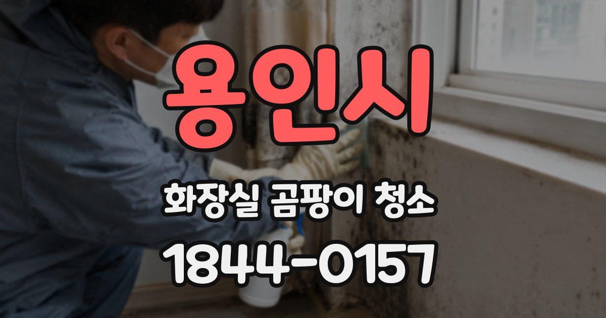 용인시 화장실 곰팡이 청소