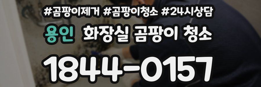 용인 화장실 곰팡이 청소