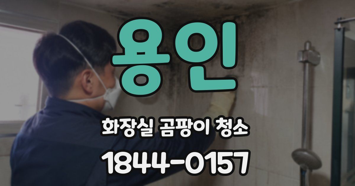 용인 화장실 곰팡이 청소