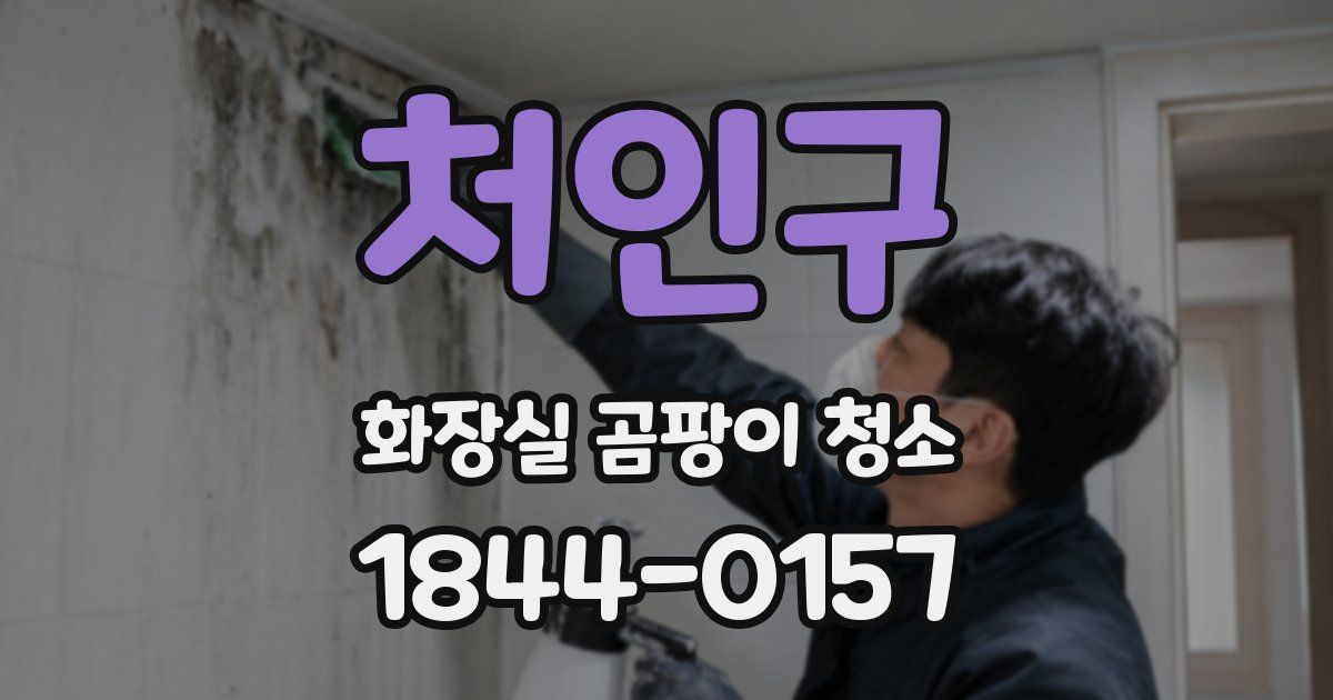 처인구 화장실 곰팡이 청소