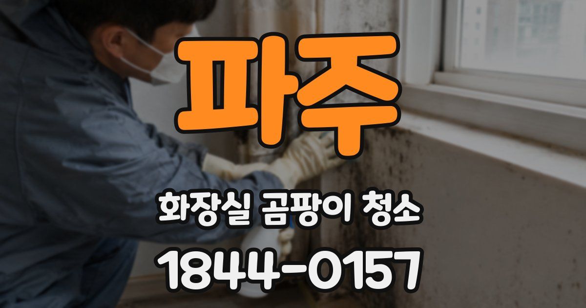 파주 화장실 곰팡이 청소