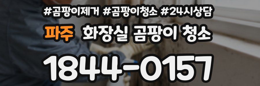 파주 화장실 곰팡이 청소