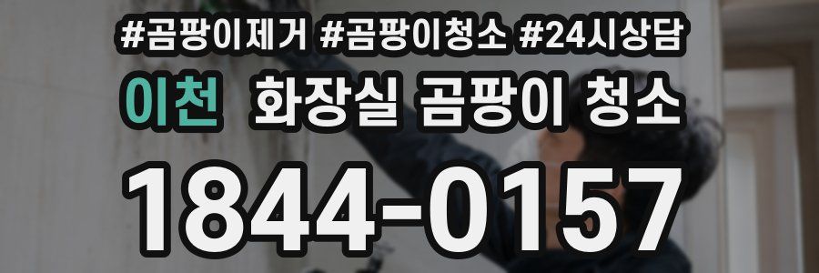이천 화장실 곰팡이 청소