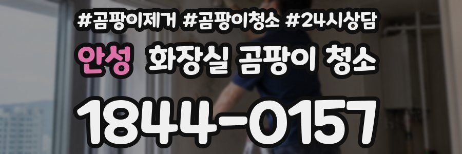 안성 화장실 곰팡이 청소