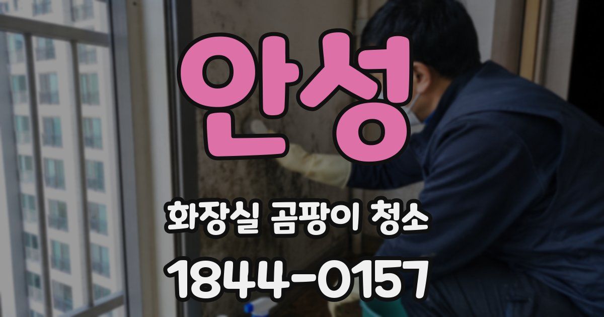 안성 화장실 곰팡이 청소
