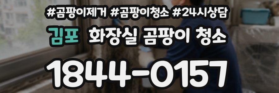 김포 화장실 곰팡이 청소