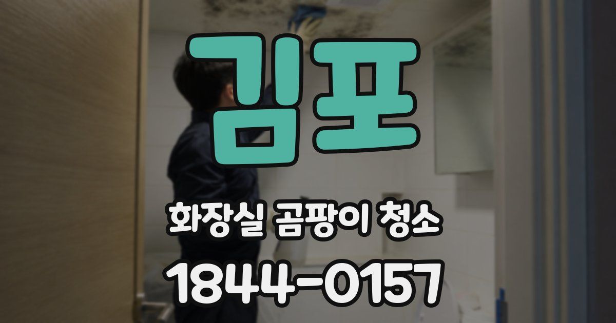 김포 화장실 곰팡이 청소