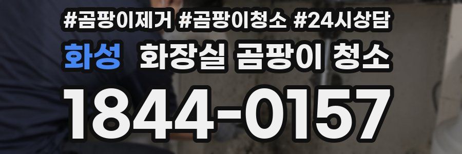 화성 화장실 곰팡이 청소