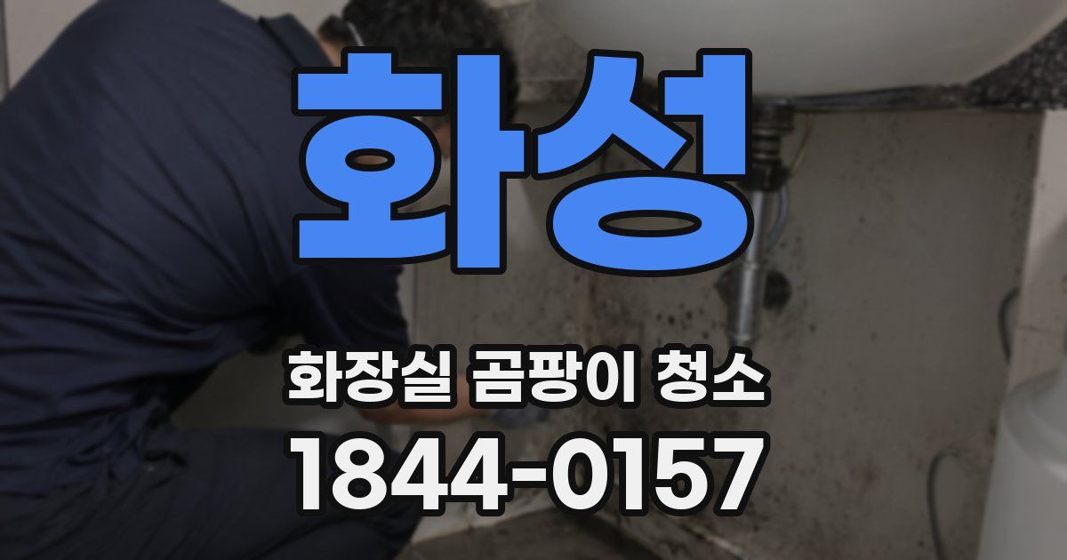 화성 화장실 곰팡이 청소