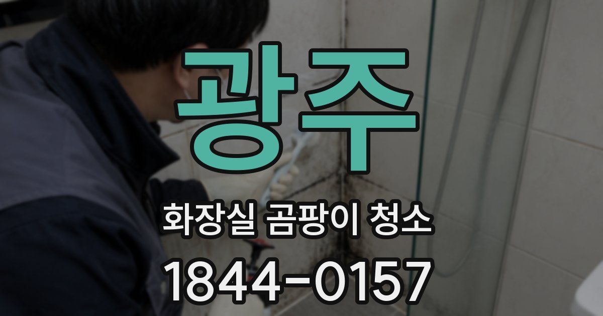 광주 화장실 곰팡이 청소