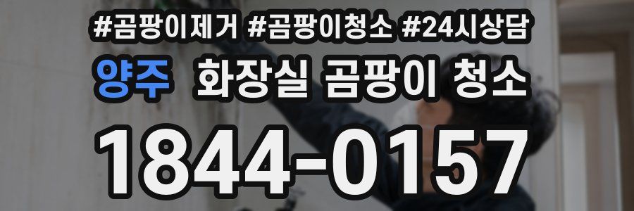 양주 화장실 곰팡이 청소