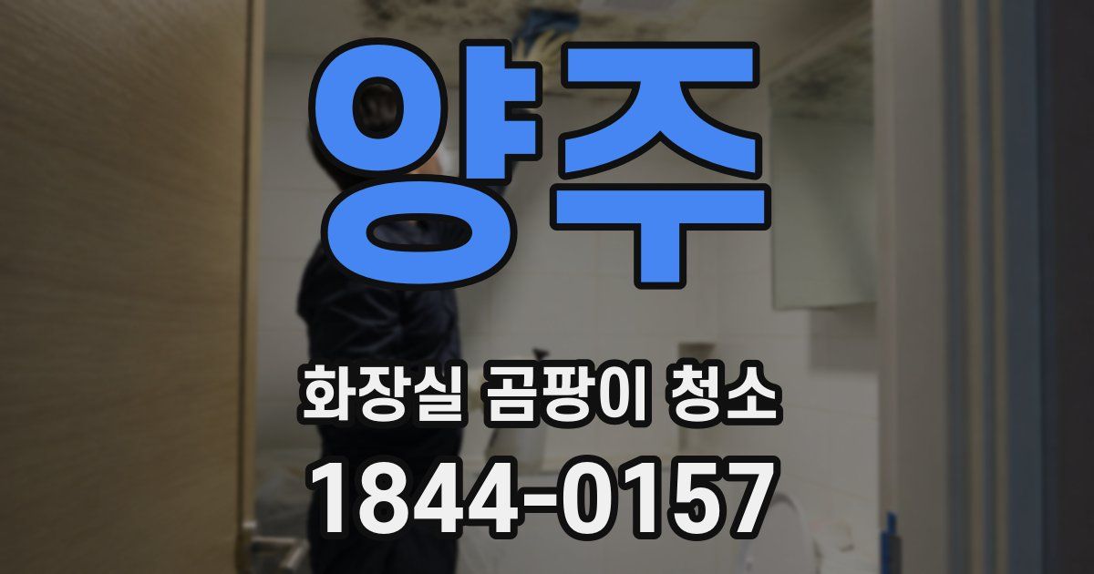 양주 화장실 곰팡이 청소