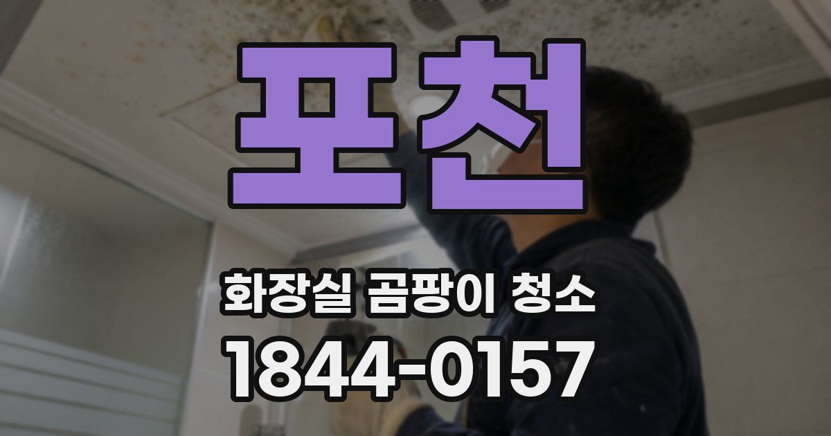 포천 화장실 곰팡이 청소