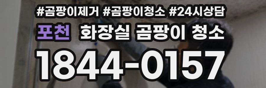 포천 화장실 곰팡이 청소