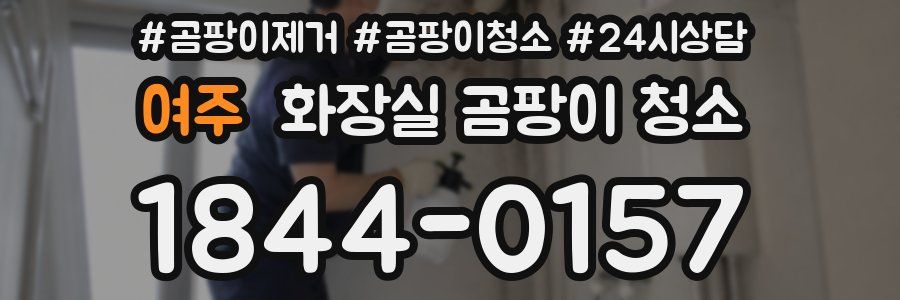 여주 화장실 곰팡이 청소