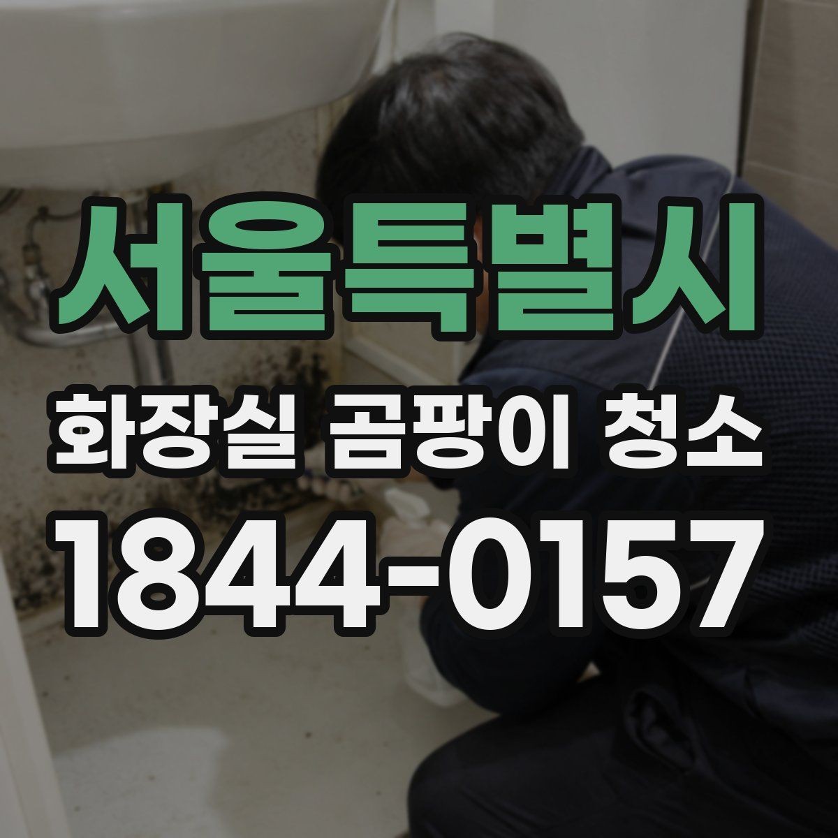 서울특별시 화장실 곰팡이 청소 실리콘 틈 곰팡이 제거할 때 살펴볼 부분