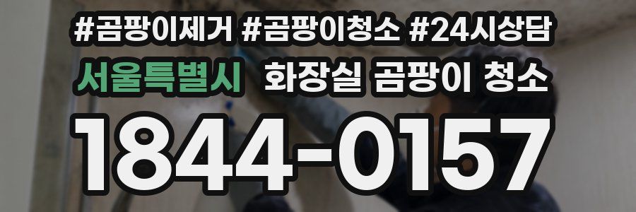 서울특별시 화장실 곰팡이 청소