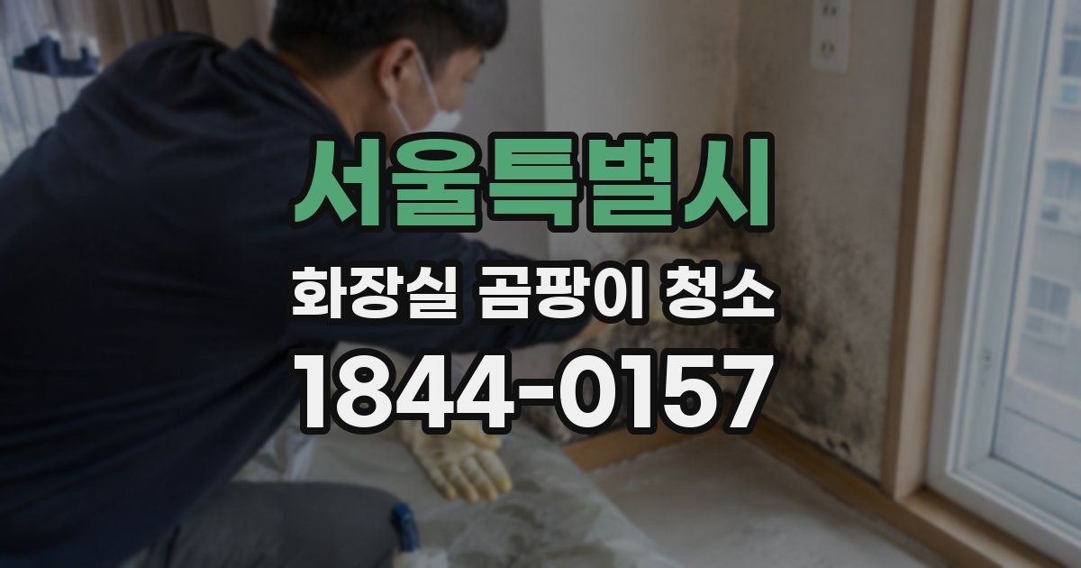 서울특별시 화장실 곰팡이 청소