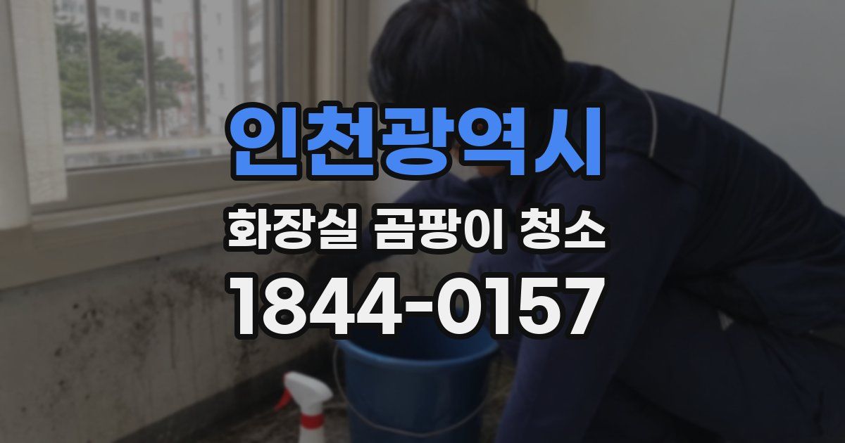 인천광역시 화장실 곰팡이 청소