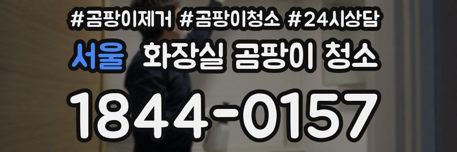 서울 화장실 곰팡이 청소