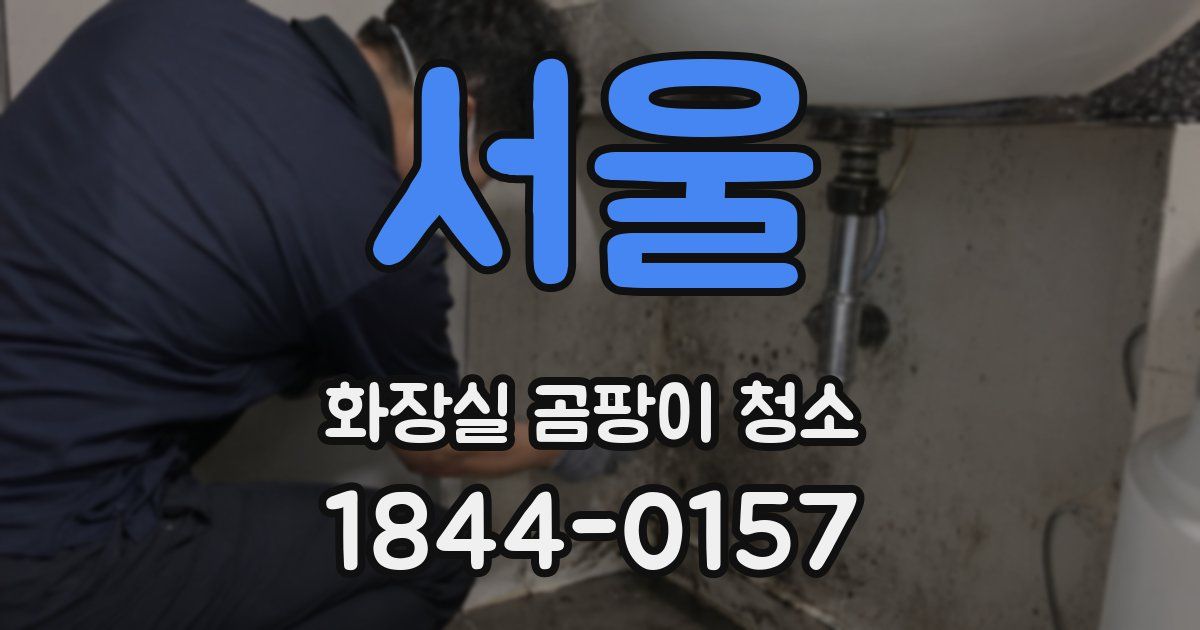 서울 화장실 곰팡이 청소