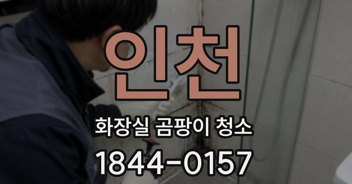 인천 화장실 곰팡이 청소