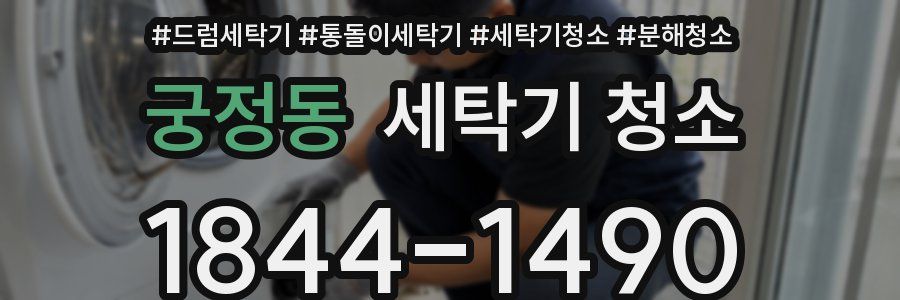 궁정동 세탁기 청소