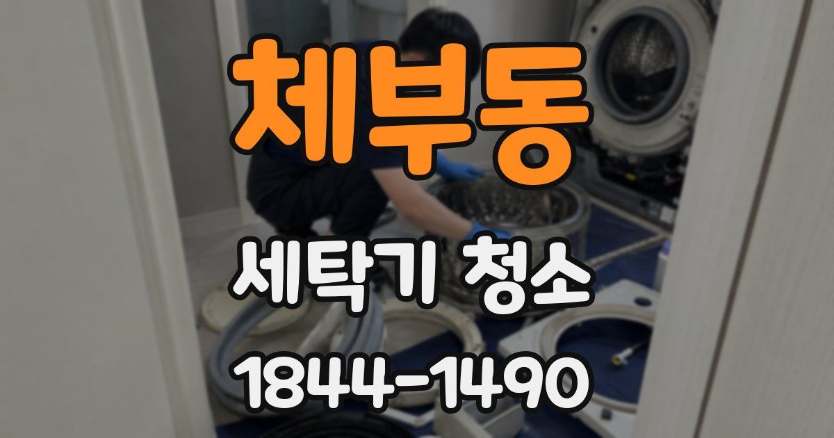 체부동 세탁기 청소
