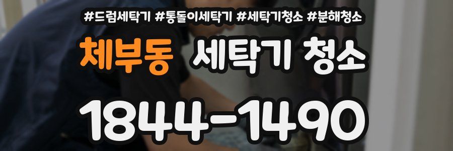 체부동 세탁기 청소