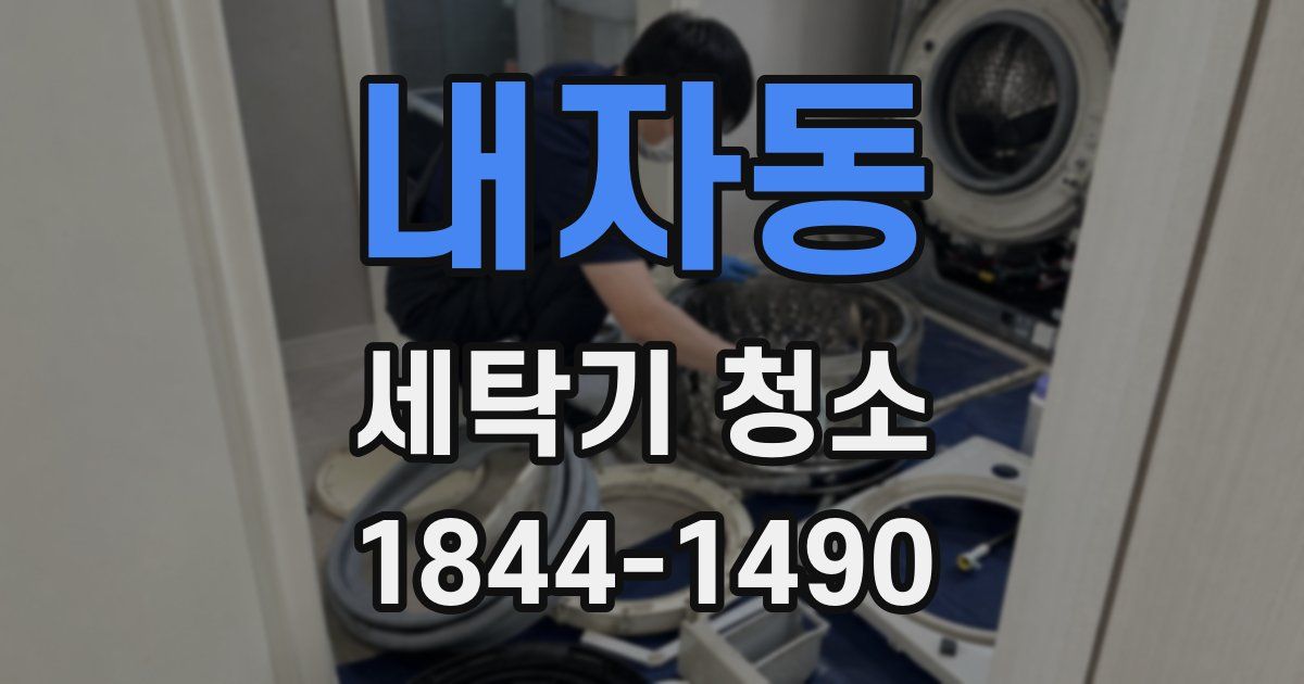 내자동 세탁기 청소
