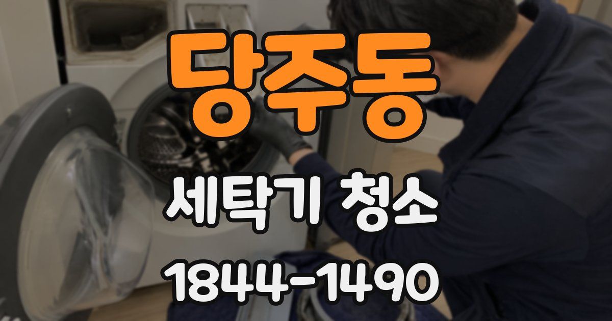 당주동 세탁기 청소