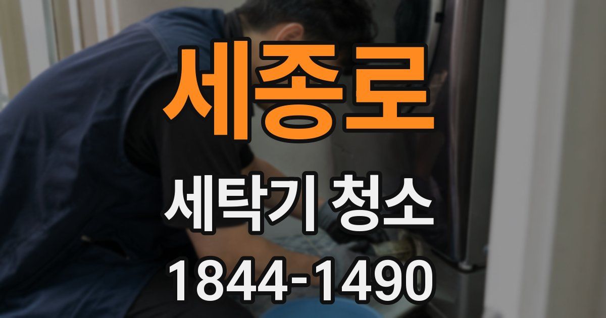 세종로 세탁기 청소