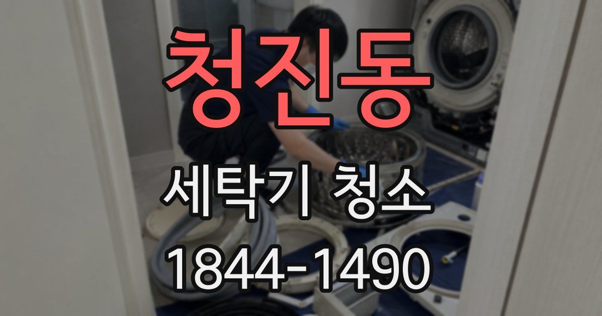 청진동 세탁기 청소