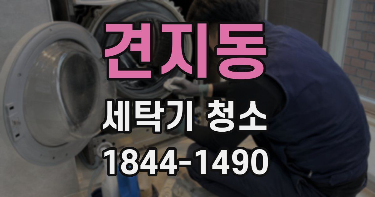 견지동 세탁기 청소