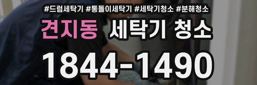 견지동 세탁기 청소