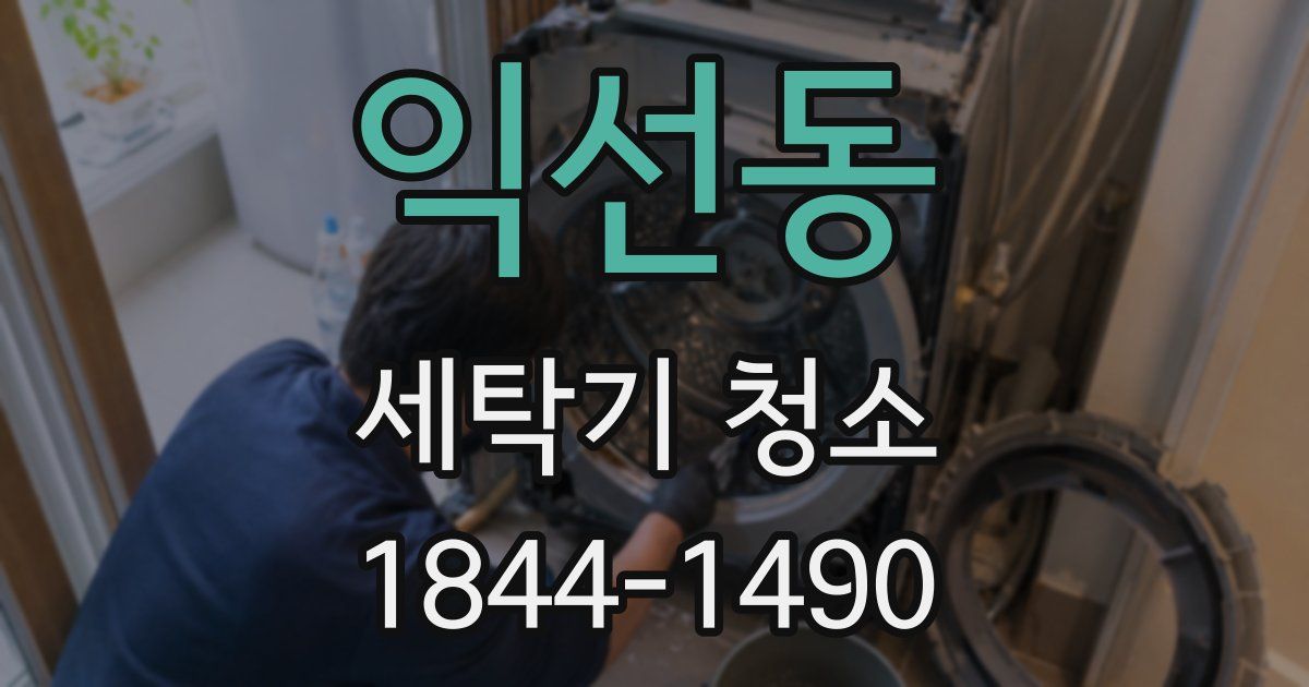 익선동 세탁기 청소