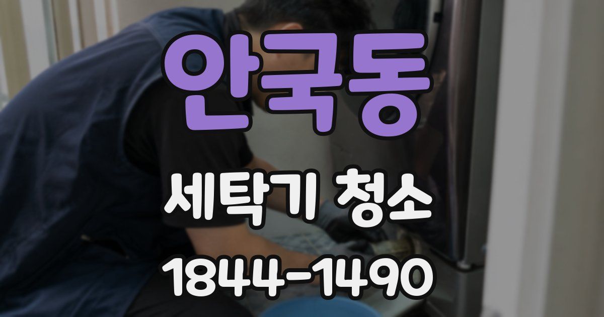 안국동 세탁기 청소