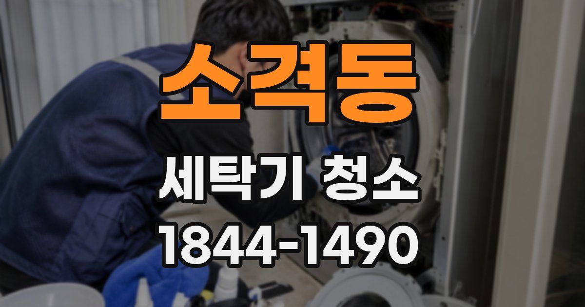 소격동 세탁기 청소