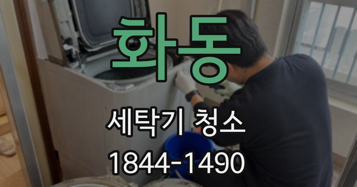 화동 세탁기 청소