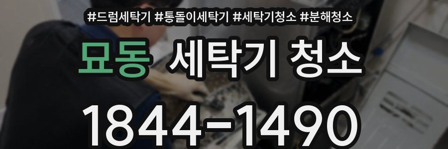 묘동 세탁기 청소