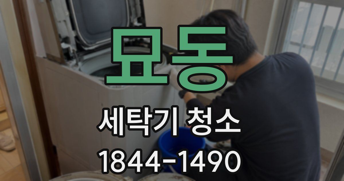 묘동 세탁기 청소