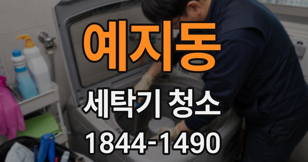 예지동 세탁기 청소