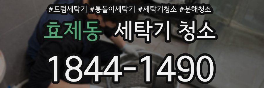 효제동 세탁기 청소