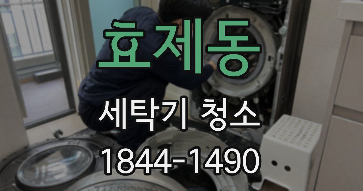 효제동 세탁기 청소