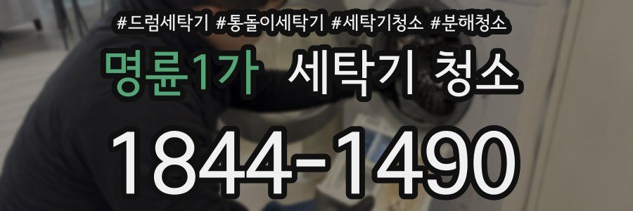 명륜1가 세탁기 청소